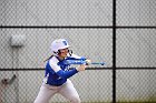 Softball vs Babson  Wheaton College Softball vs Babson College. - Photo by Keith Nordstrom : Wheaton, Softball, Babson, NEWMAC